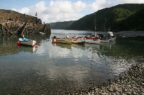 Boats in Harbour2
